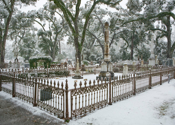 Snow Grave Yard